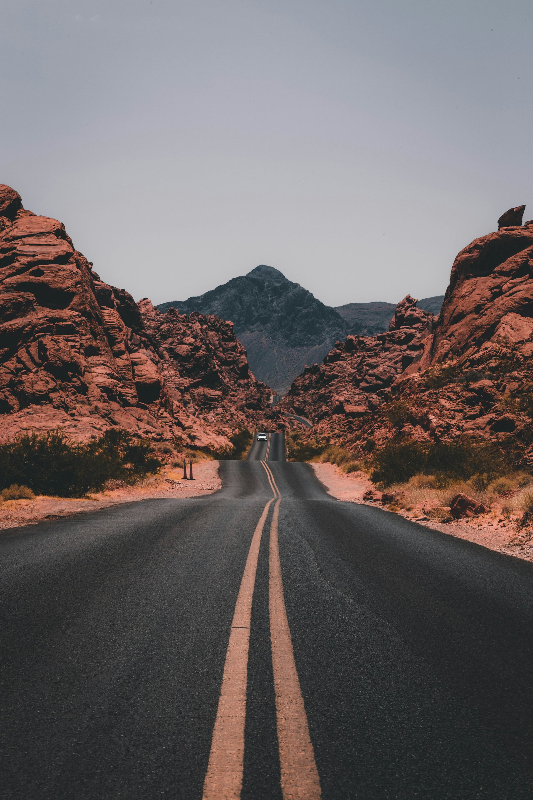 A sunlit landscape seen on a journey